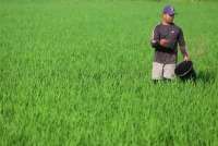 Ini 4 Peringatan Penting Setiap 17 April yang Mengubah Sejarah