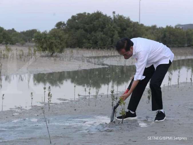 Tunjukkan komitmen perubahan iklim, Jokowi akan ajak pemimpin G20 tanam mangrove 