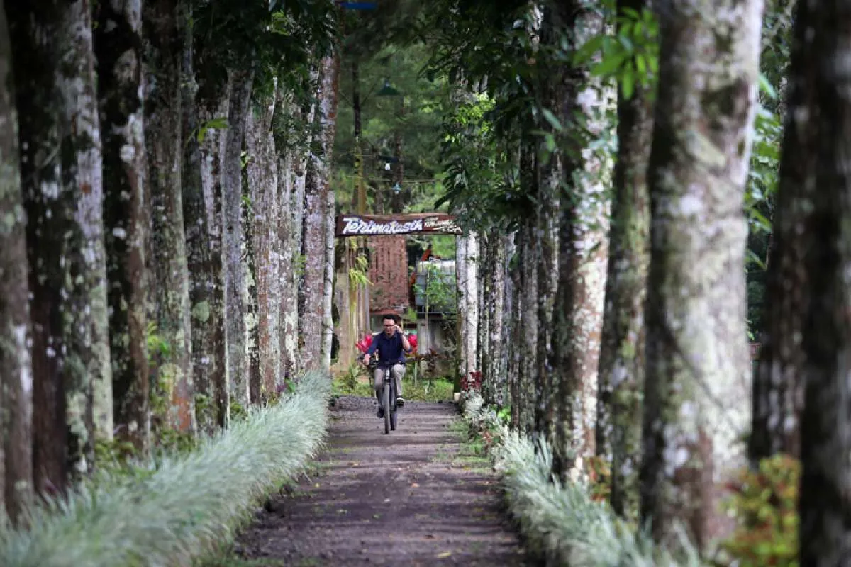 Ada Apa dengan Hari Besar 16 Maret? Ini 5 Peristiwa Nasional dan Global