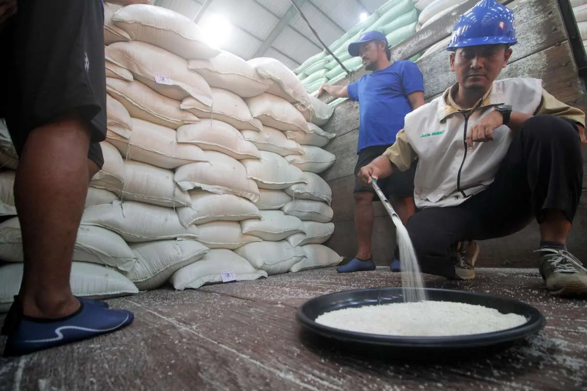 Produksi Beras Naik 13,29%, Kementan: 9 Komoditas Surplus Jadi Tantangan Penyimpanan