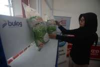 DPR dan Pemerintah Godok Bulog Jadi Badan Otonom, Perkuat Kendali Negara atas Pangan