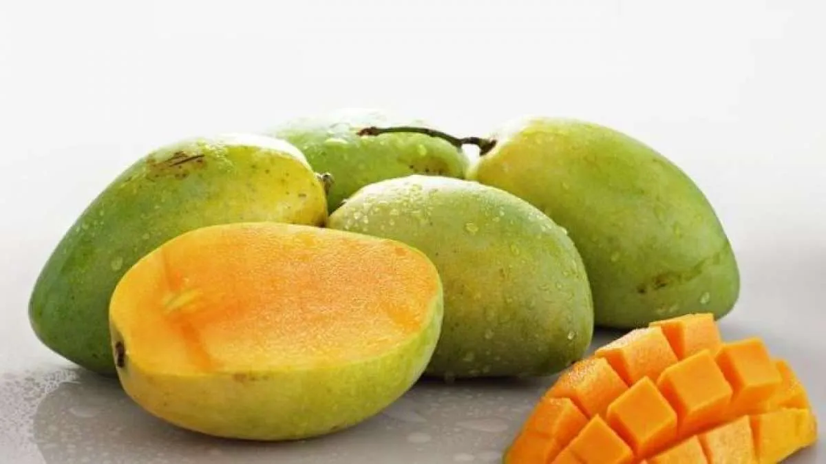 Makan Mangga Bikin Jerawat Muncul? 