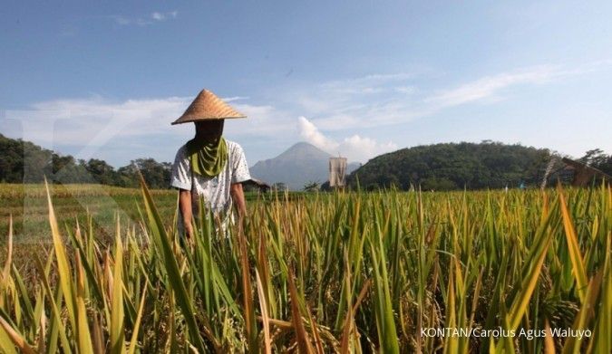 November, harga beras di tingkat penggilingan naik
