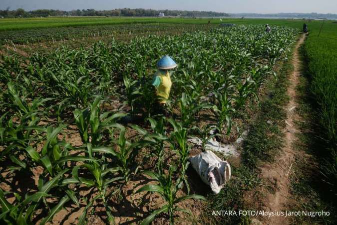 Cek Prakiraan Cuaca Jawa Tengah Besok (30/9): 18 Daerah Berawan, 11 Wilayah Cerah