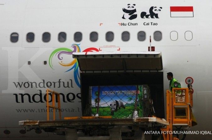 Garuda Indonesia (GIAA) akan kembangkan pesawat tanpa awak untuk kargo