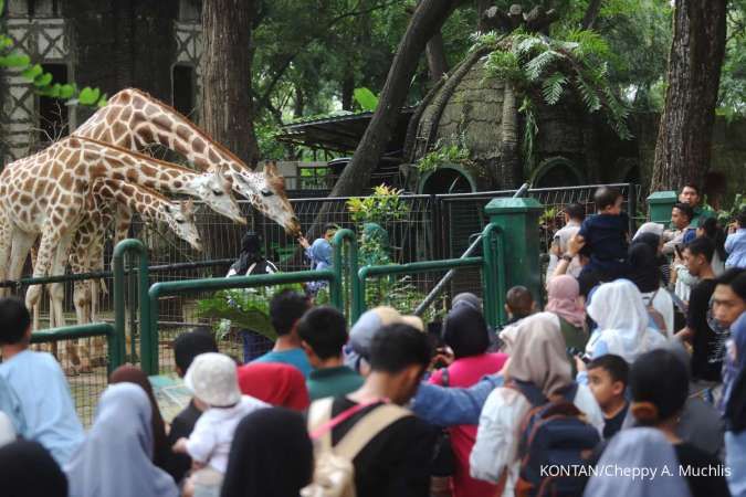 Cek Jam Buka, Harga, dan Cara Beli Tiket Kebun Binatang Ragunan 2025