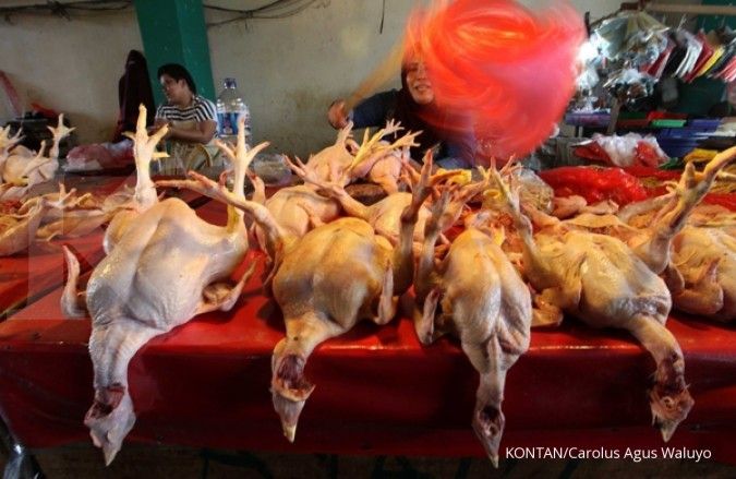 Chicken price drops due to oversupply 