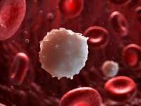 23andMe di Ambang Kebangkrutan, Privasi Jutaan Data DNA Terancam