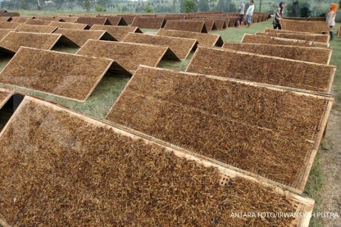 APTI: Aksesi FCTC bisa matikan petani tembakau