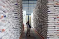 Stok Beras Diprediksi Capai 4 Juta Ton, Mentan Siap Ekspor Jika Diperintahkan