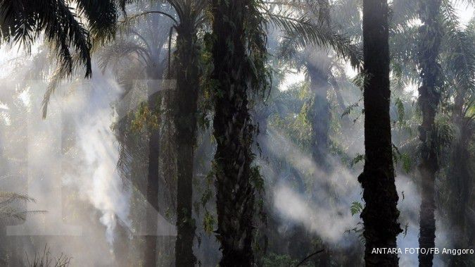 Perusahaan sawit Riau merugi Rp 7,2 T akibat asap