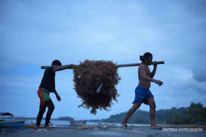 Tak Hanya Minerba, Jokowi Minta Hilirisasi Sumber Daya Alam Laut Ditingkatkan 