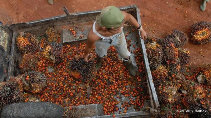 Kekeringan mungkin angkat harga CPO