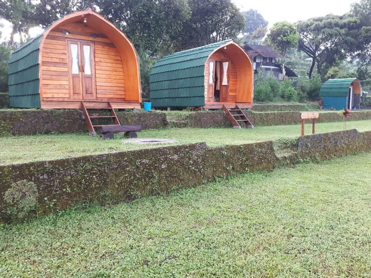 Rekomendasi tempat berkemah di Lembang, Pine Forest Camp 