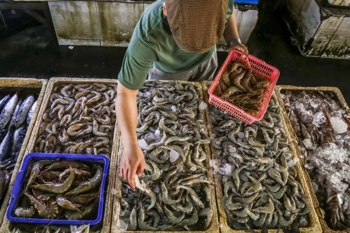 Respons Tuduhan Anti Dumping di AS, KKP Buka Akses Ekspor Udang ke Arab dan China