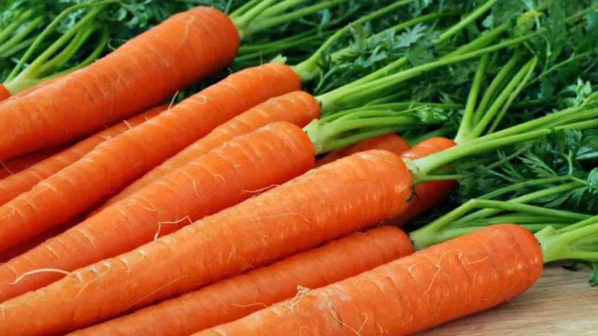Apa Kandungan Vitamin Wortel? Ini 8 Manfaat Wortel untuk Kesehatan yang Menakjubkan