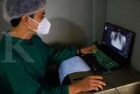 Peringatan Global Setiap 24 Maret: Ada Hari TB hingga Hak Atas Kebenaran