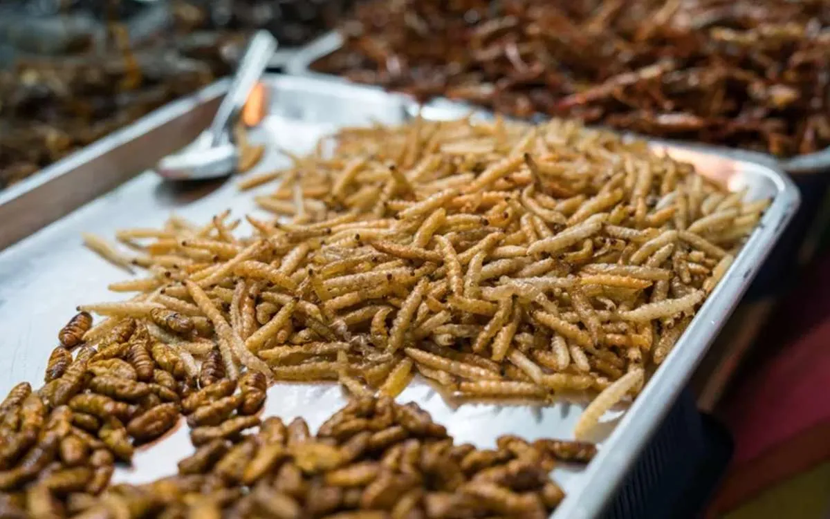 Makanan Thailand yang aneh di mata wisatawan, berani coba? 