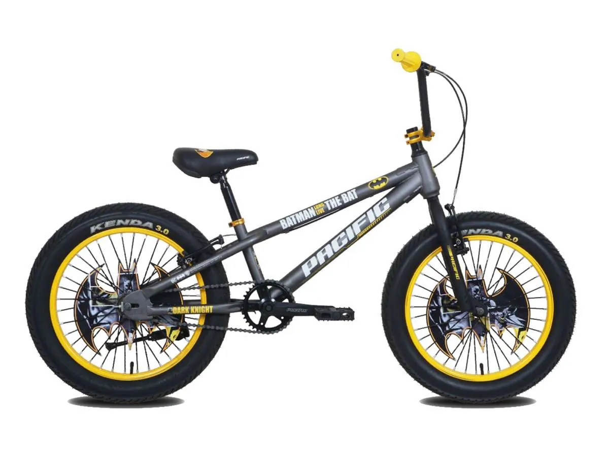 Sepeda anak Pacific dijual murah meriah, tidak percaya? Cek harga sepeda ini di sini