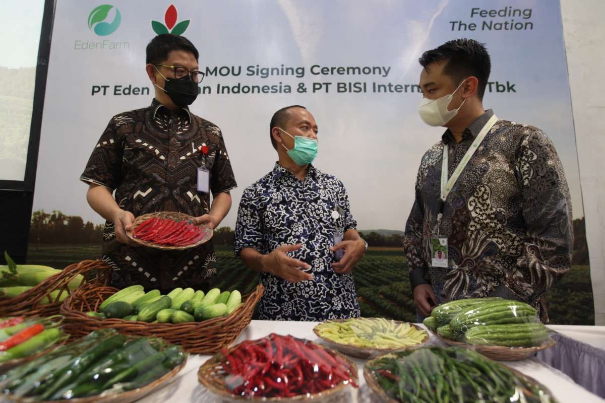 BISI Bakal Genjot Penjualan Benih Cabai & Tomat