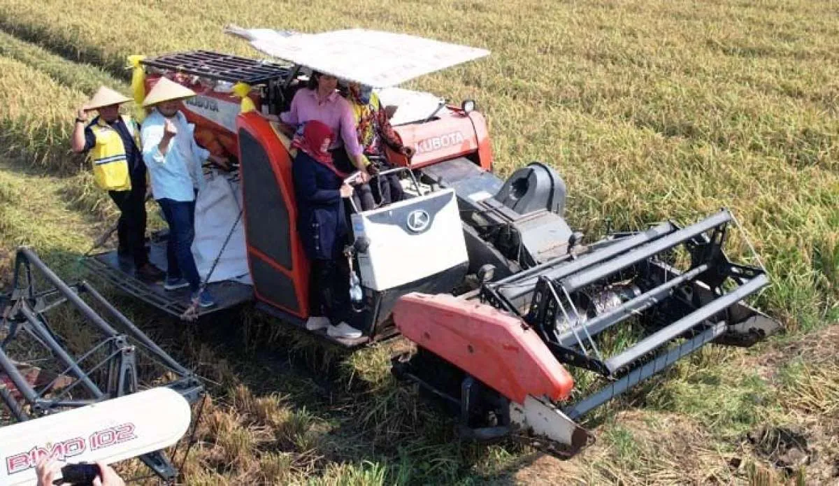 Demonstration Plot CSA, Lahan Pertanian Sumsel Berupaya Tekan Emisi Gas Rumah Kaca