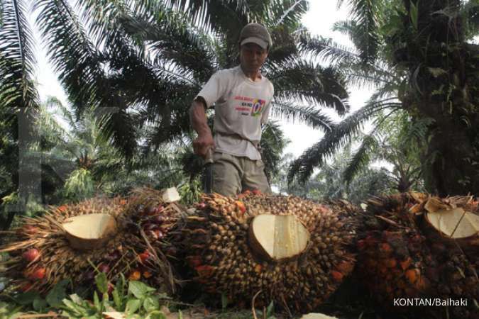 Indonesia aims to finish research on 40%-palm-based biodiesel in November