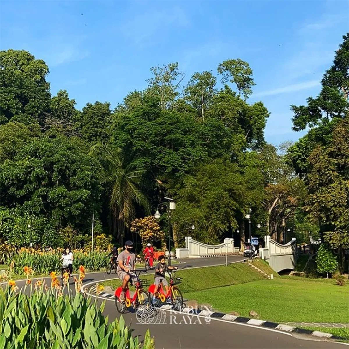 Tetap buka di tengah pandemi, Kebun Raya Bogor perketat protokol kesehatan