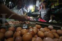 Harga Pangan Terkini di Jawa Timur, 8 November 2024: Bawang Merah dan Telur Ayam Naik