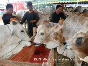 Kementerian Pertanian tak lagi mengurusi impor sapi