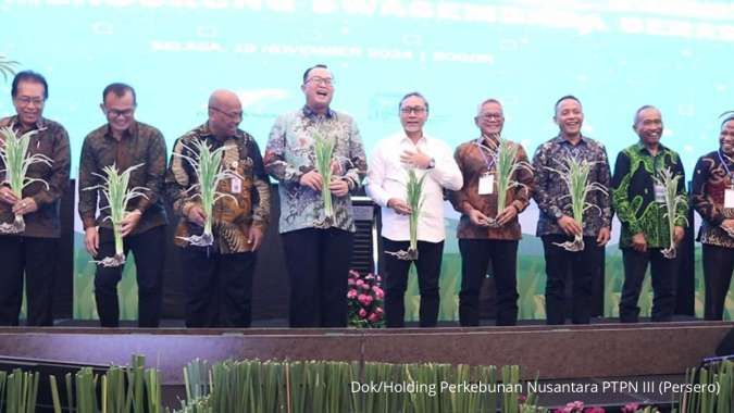 Holding Perkebunan Nusantara Lakukan Intercropping Padi Gogo di Lahan Sawit Rakyat