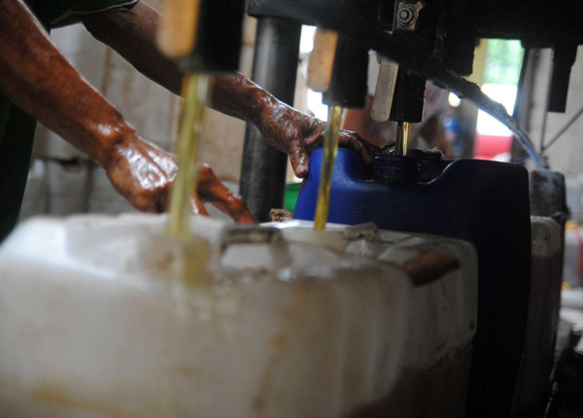 Dibom Aneka Regulasi, Harga Minyak Goreng Masih Tinggi