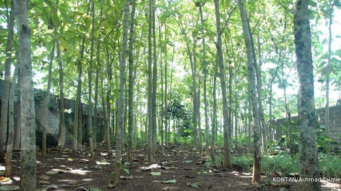 Luas penundaan izin baru hutan capai 926.030 ha