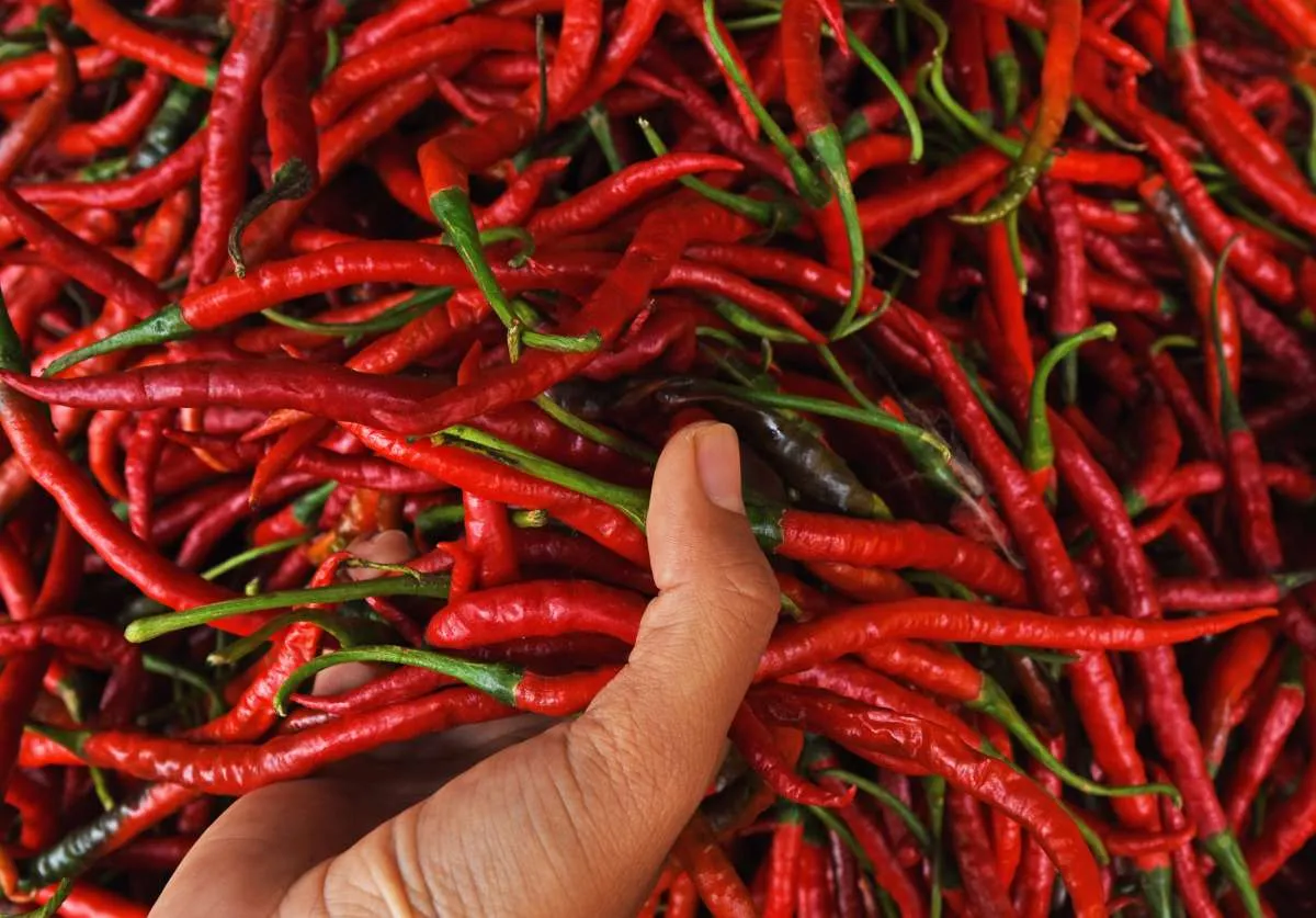 BI perkirakan inflasi Oktober 2021 sebesar 0,10% mom