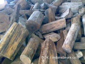 Bea Cukai Bandar Soetta gagalkan penyelundupan gaharu