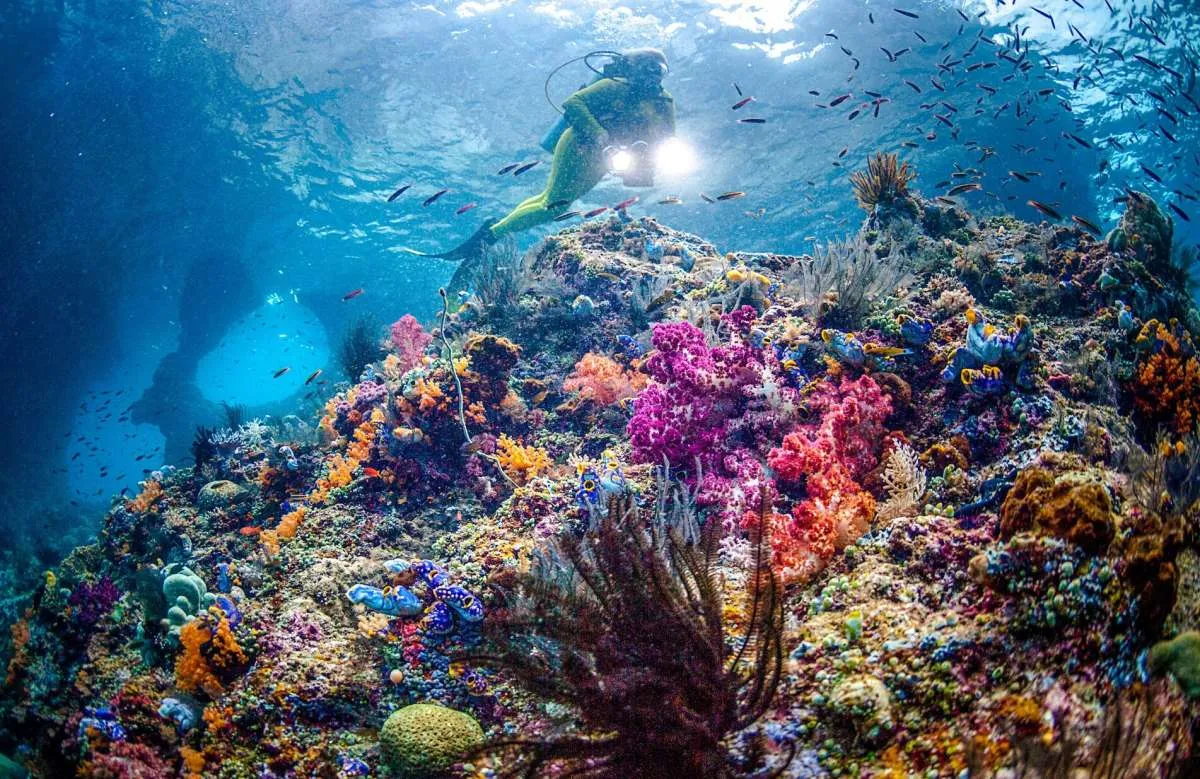 Destinasi Wisata Terbaik 2023: 6 Tempat Paling Nyaman untuk Bersantai, Ada Indonesia