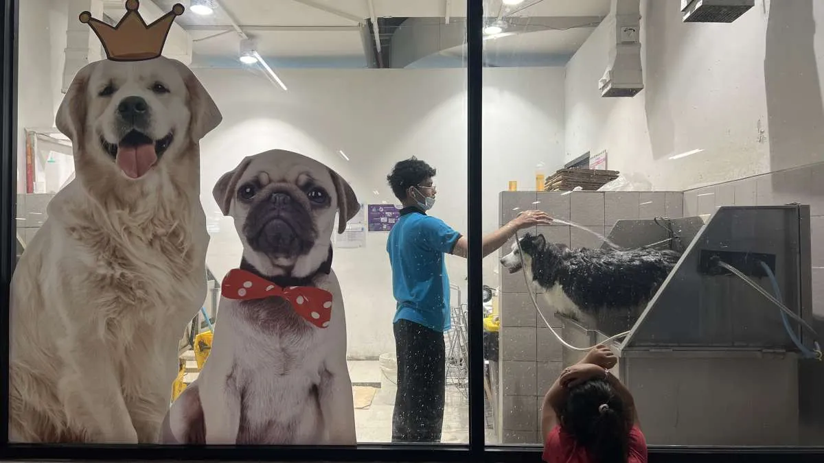 Ada 3 Peringatan Penting 11 April: Dari Kanker Tulang Nasional hingga Pet Day