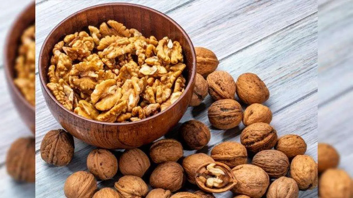 Rutin Makan Kacang Kenari Bikin Panjang Umur? 