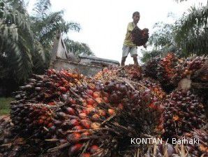 Harga CPO anjlok ke titik terendah