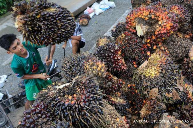 Kinerja Emiten CPO 2024 Ditopang Kenaikan Harga, Bagaimana Peluangnya Tahun Ini?