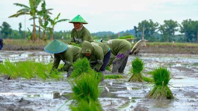 Wilmar Padi Indonesia Perluas Kemitraan Petani untuk Swasembada Pangan