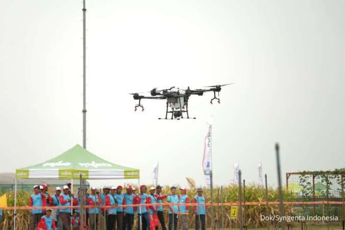 Syngenta Luncurkan Teknologi Baru untuk Kendalikan Hama Penggerek Batang Padi Kuning