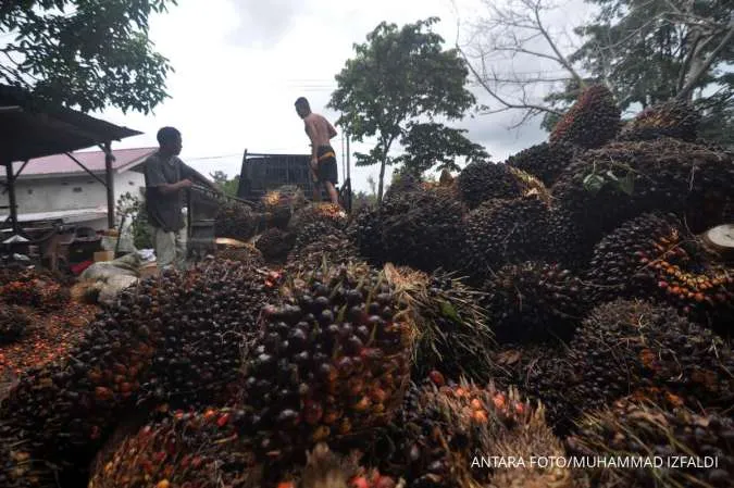 Indonesia Plans to Add Palm Oil to Government's Online Tracking System