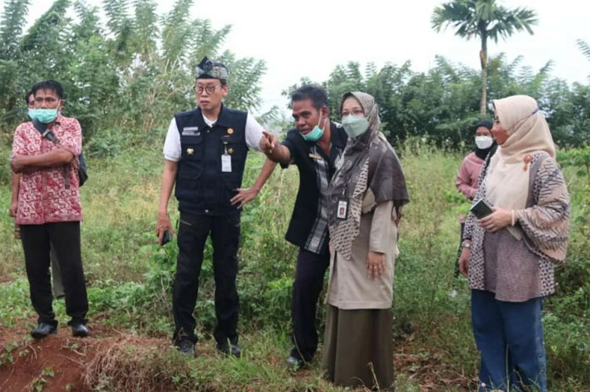 Kementan Dorong Petani Milenial Atasi Hama Belalang dengan Cara Ini