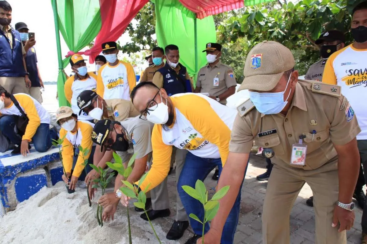 Jaga ekosistem perairan, Pelni hadirkan hutan mangrove di Kepulauan Seribu