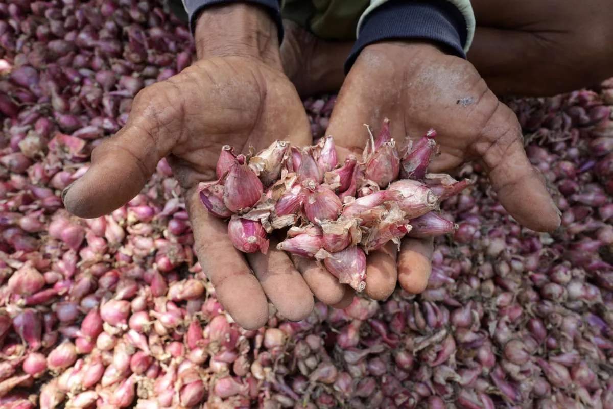 Rupiah ke Rp18.000, Ikappi: Belum Berdampak ke Pasar, tapi Harga Bawang Merah Melejit