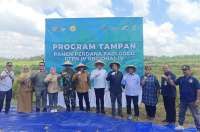 RSI dan PTPN IV PalmCo Panen Perdana Padi Gogo di Jambi