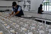 5 Katering di Ponorogo Tertipu Order Fiktif MBG, Rugi Jutaan Rupiah