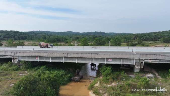 Saat Kendaraan Bermotor Berbagi Jalan dengan Kawanan Gajah