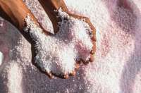 Direktorat Pupuk dan Pestisida Angkat Bicara Soal Penyelewengan Pupuk Bersubsidi