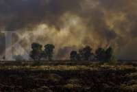 Pemerintah Siapkan Antisipasi Peningkatan Risiko Kekeringan dan Kebakaran Hutan 2023